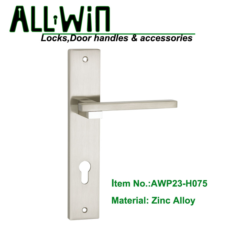 AWP23-H075 2 in 1 Door Handle On Panel